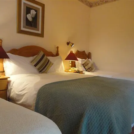 Alpine Гостевой дом Дингл