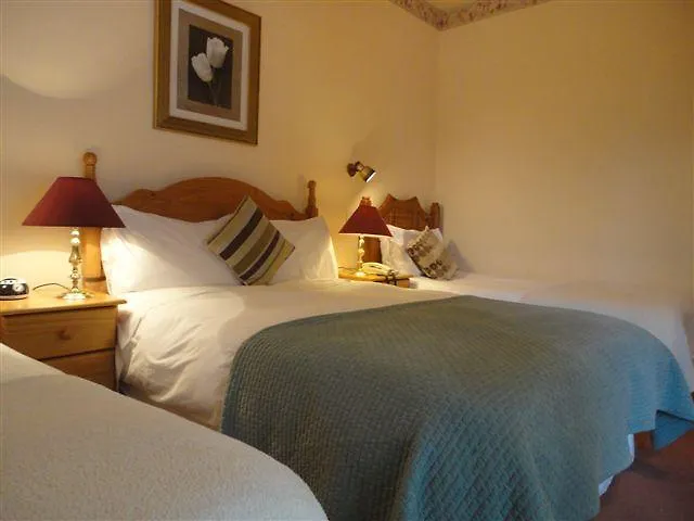 Alpine Pensjonat Dingle