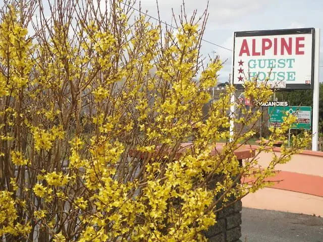 Casa de hóspedes Alpine 3*